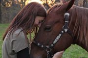 Working with Animals Careers that Require a Master's Degree in Psychology