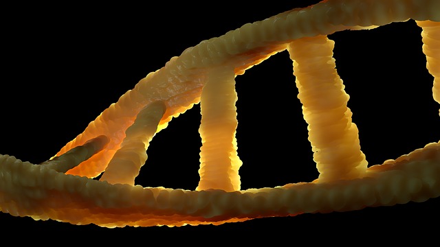 strand of actual DNA