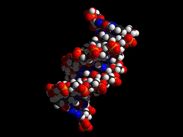 gmulticolored DNA strand made of ballsn