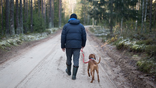 man kneeling with dog in the woods