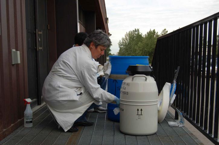 woman environmental health worker in lab coat kneeling and checking chemicals in large containers