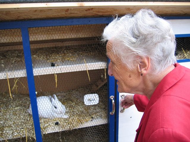 elderly woman looking at a rabbit in a cage