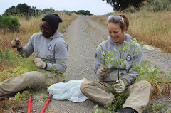 americorps